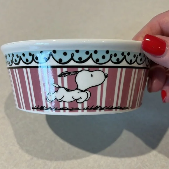 Gibson Snoopy Peanuts Dog Bowl - Picture 2 of 5